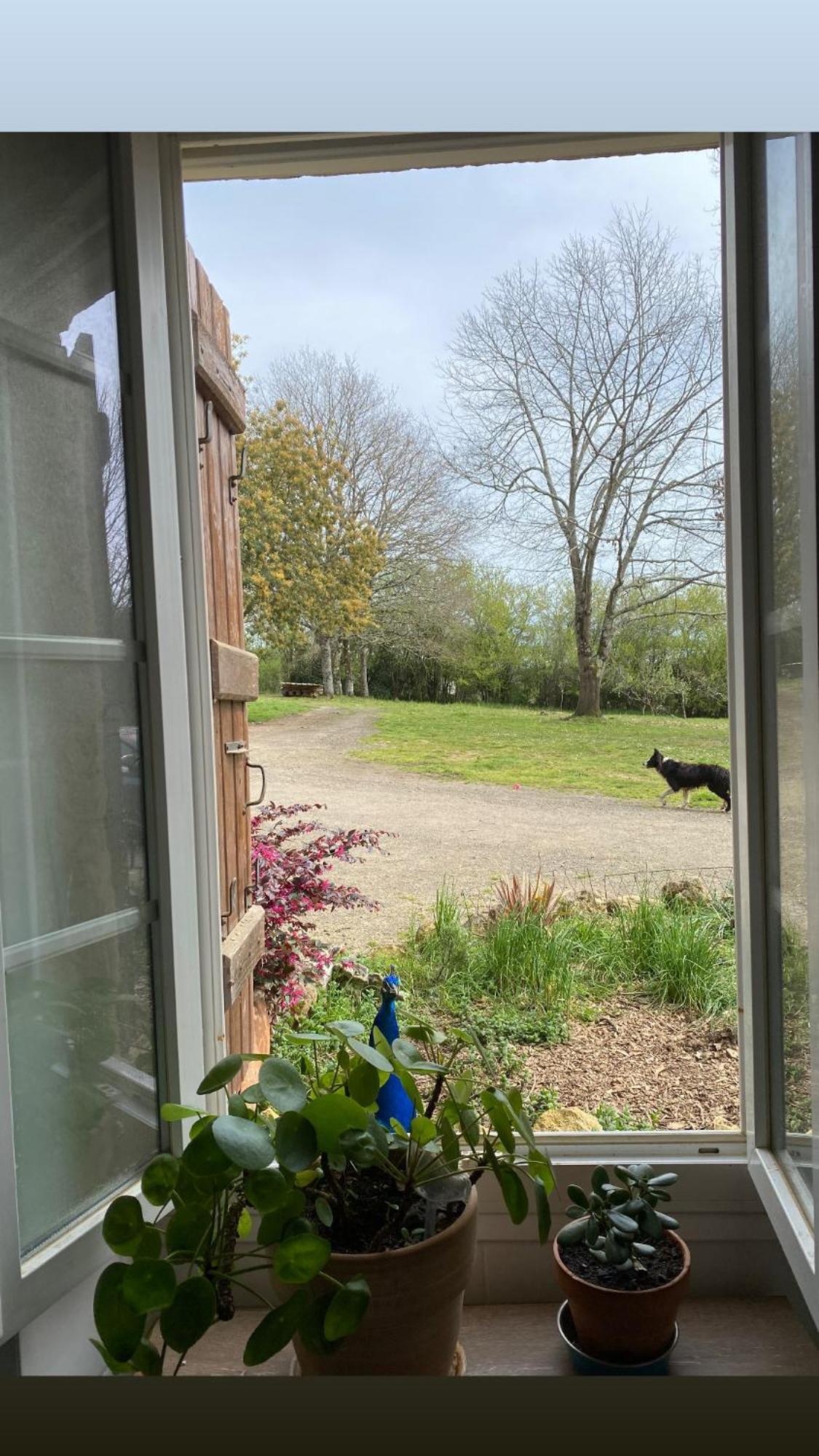 Bed and Breakfast La Bastide Armous-et-Cau Екстер'єр фото
